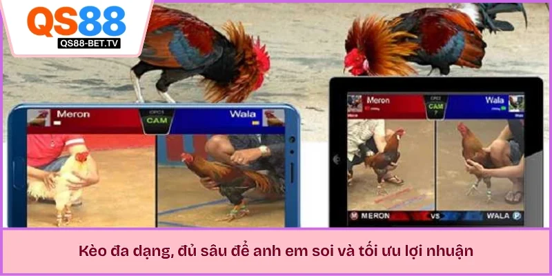 Kèo đa dạng, đủ sâu để anh em soi và tối ưu lợi nhuận 
