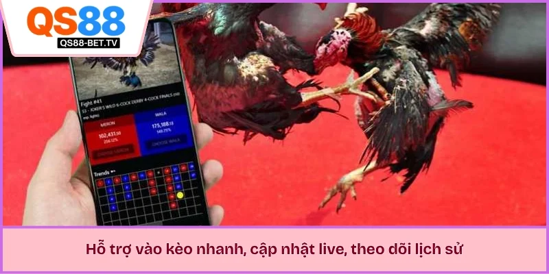 Hỗ trợ vào kèo nhanh, cập nhật live, theo dõi lịch sử 