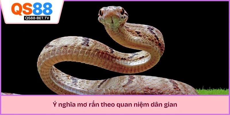 Ý nghĩa mơ rắn theo quan niệm dân gian 